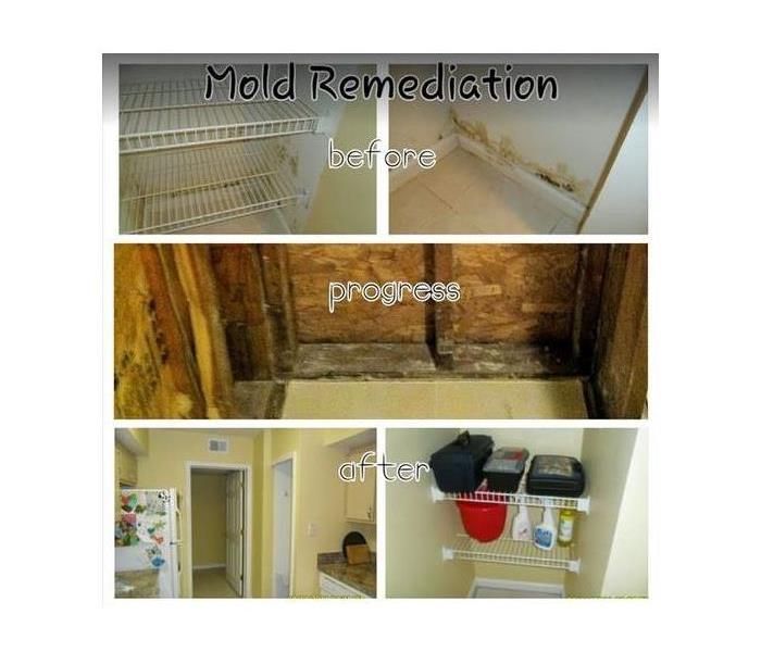 progress of mold remediation in a closet